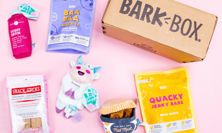 The Best Pet Food Subscription Services You Should Try